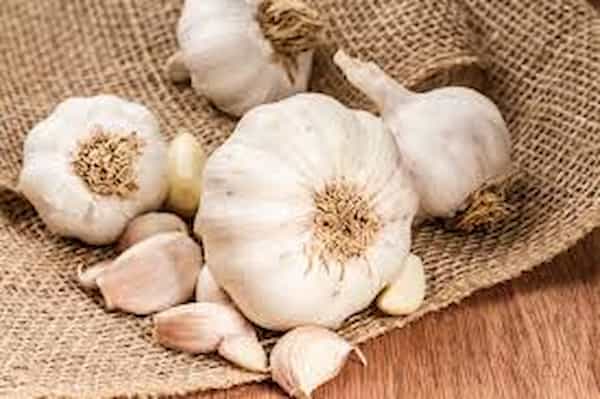 تصویر 2 از خرید اسلایس سیر + فروش عمده